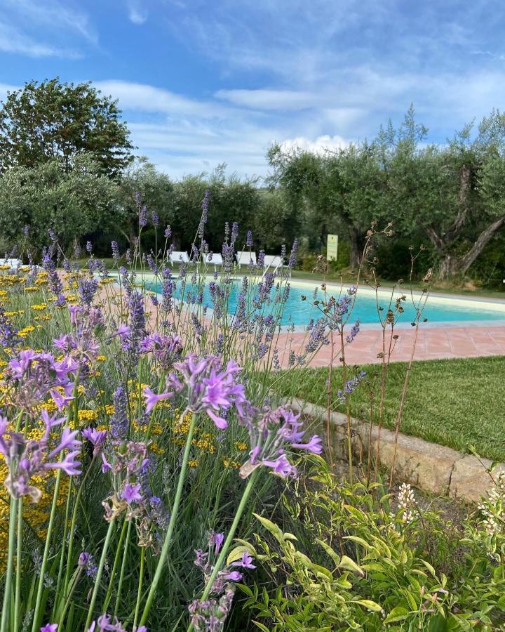 Glamping Suite Il Grillo Lamporecchio Zewnętrze zdjęcie